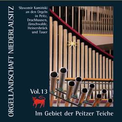 Vol. 13